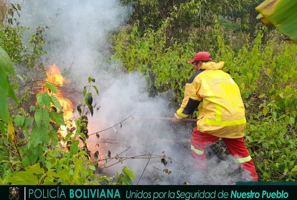 Reportan Siete Incendios Forestales En La Paz Y Santa Cruz Br Jula