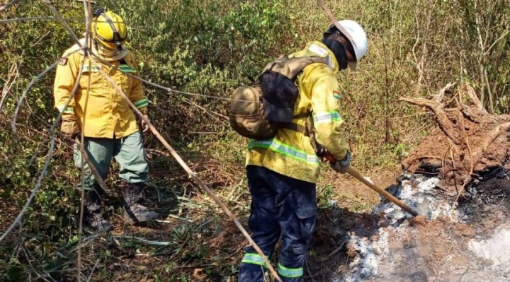 Se Reactivan Siete Incendios Forestales En Santa Cruz Y Reportan Uno