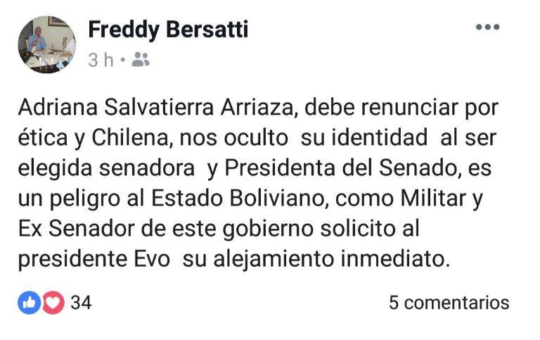 Excónsul en Chile y exsenador del MAS pide a Adriana Salvatierra “renunciar por ética y chilena”