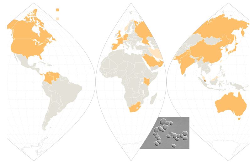 Una infección misteriosa se propaga por el mundo en secreto