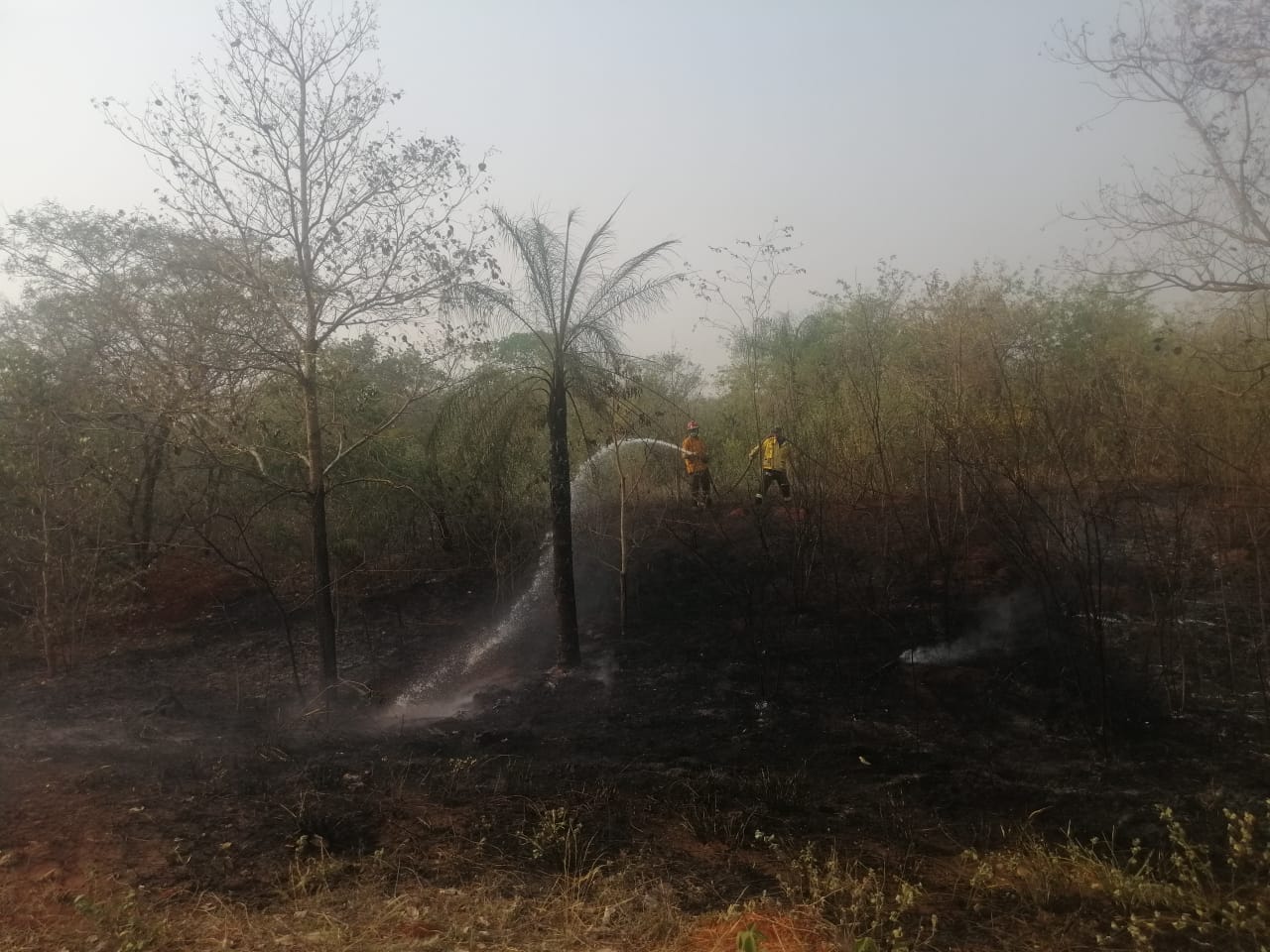 GALERIA: Los incendios forestales en la Chiquitanía en fotos