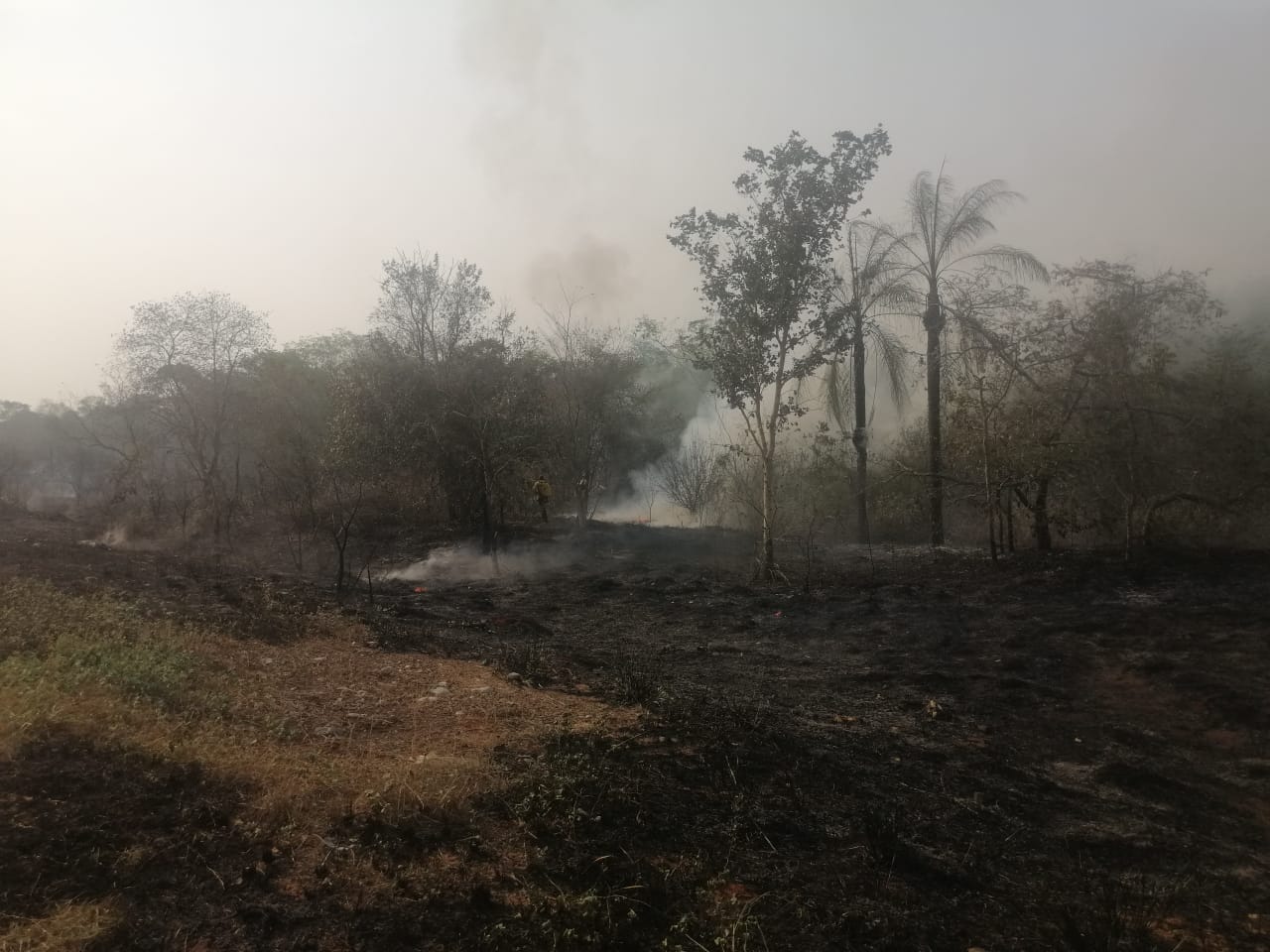 GALERIA: Los incendios forestales en la Chiquitanía en fotos