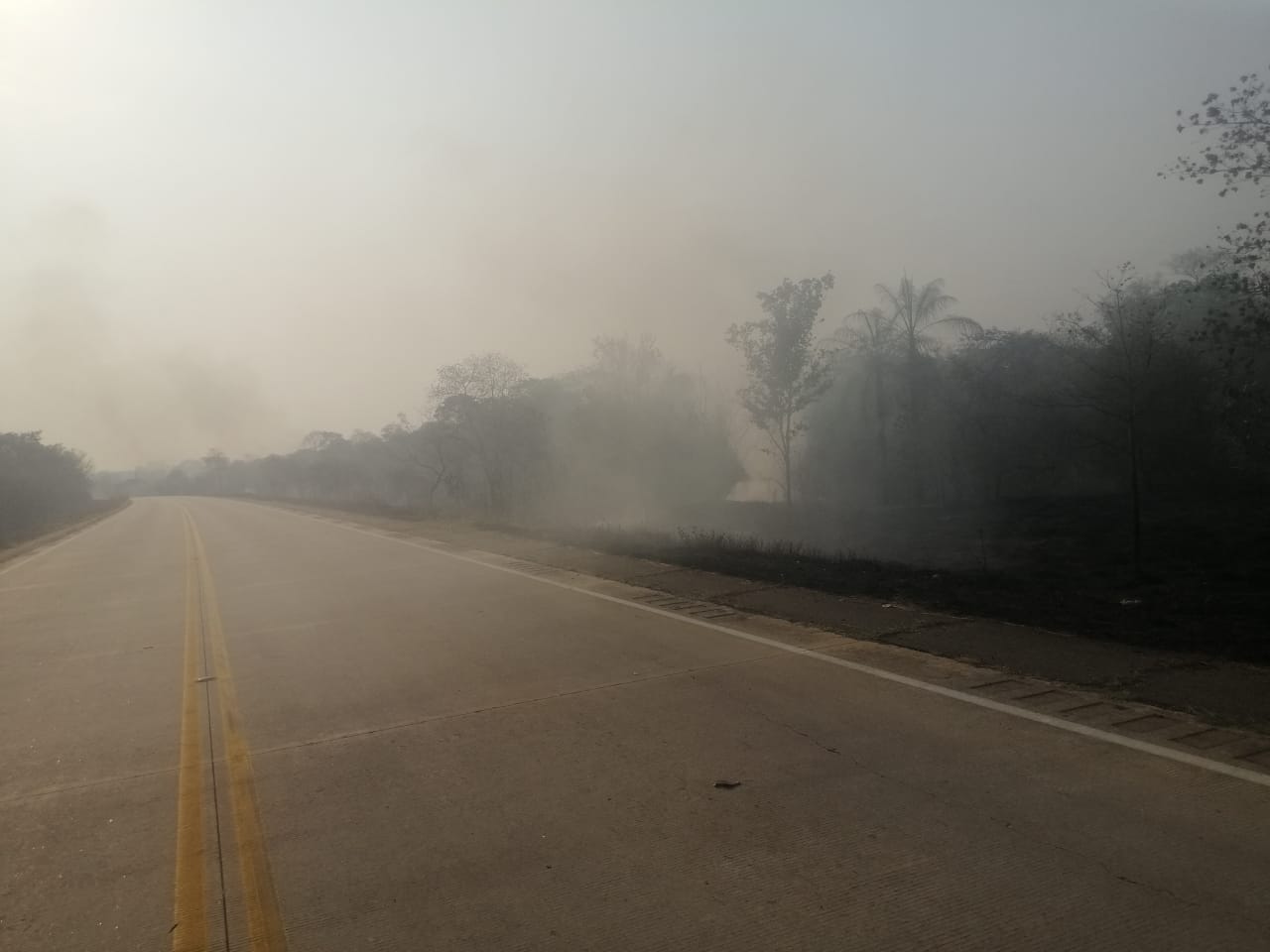 GALERIA: Los incendios forestales en la Chiquitanía en fotos