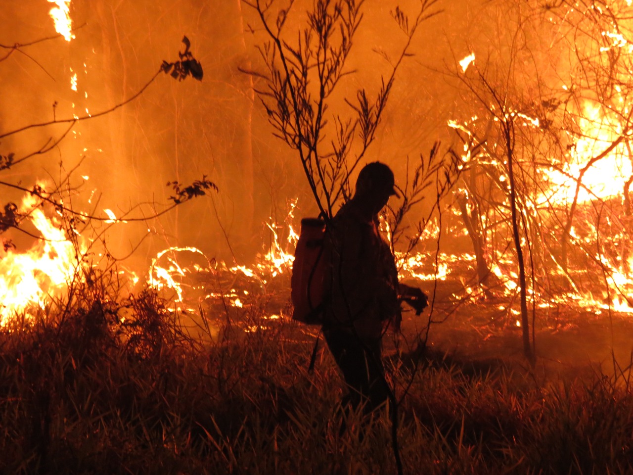 GALERIA: Los incendios forestales en la Chiquitanía en fotos