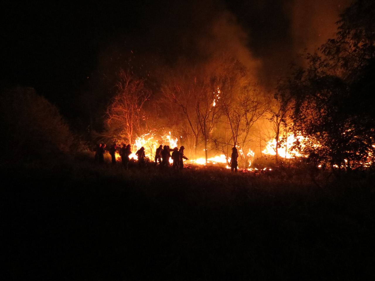 GALERIA: Los incendios forestales en la Chiquitanía en fotos