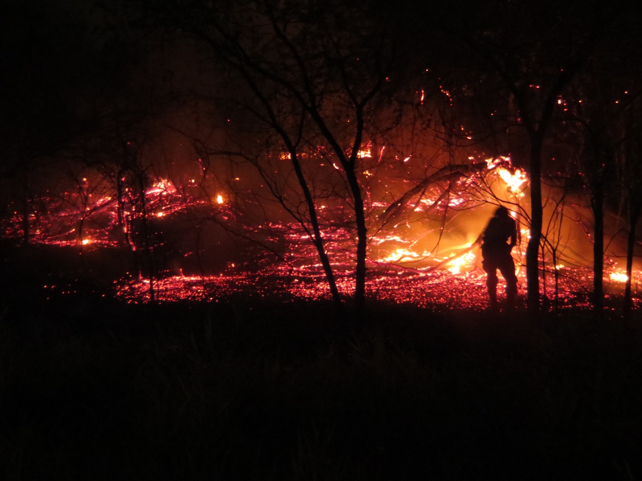 GALERIA: Los incendios forestales en la Chiquitanía en fotos