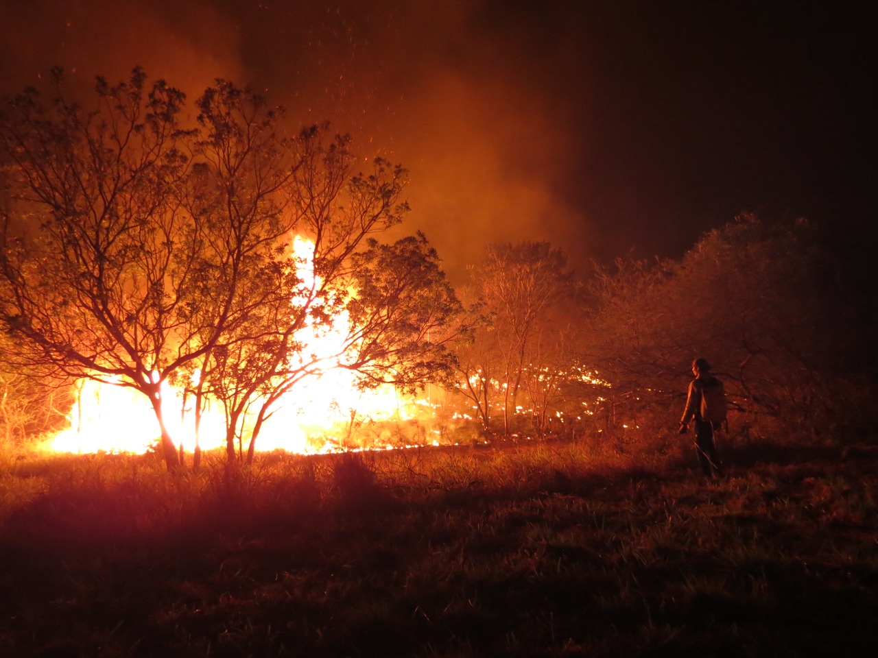 GALERIA: Los incendios forestales en la Chiquitanía en fotos