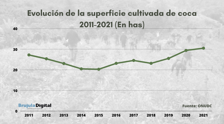 El Incremento De Los Cultivos De Coca Fue Sostenido En Los últimos 10 Años En Bolivia Según La 6569