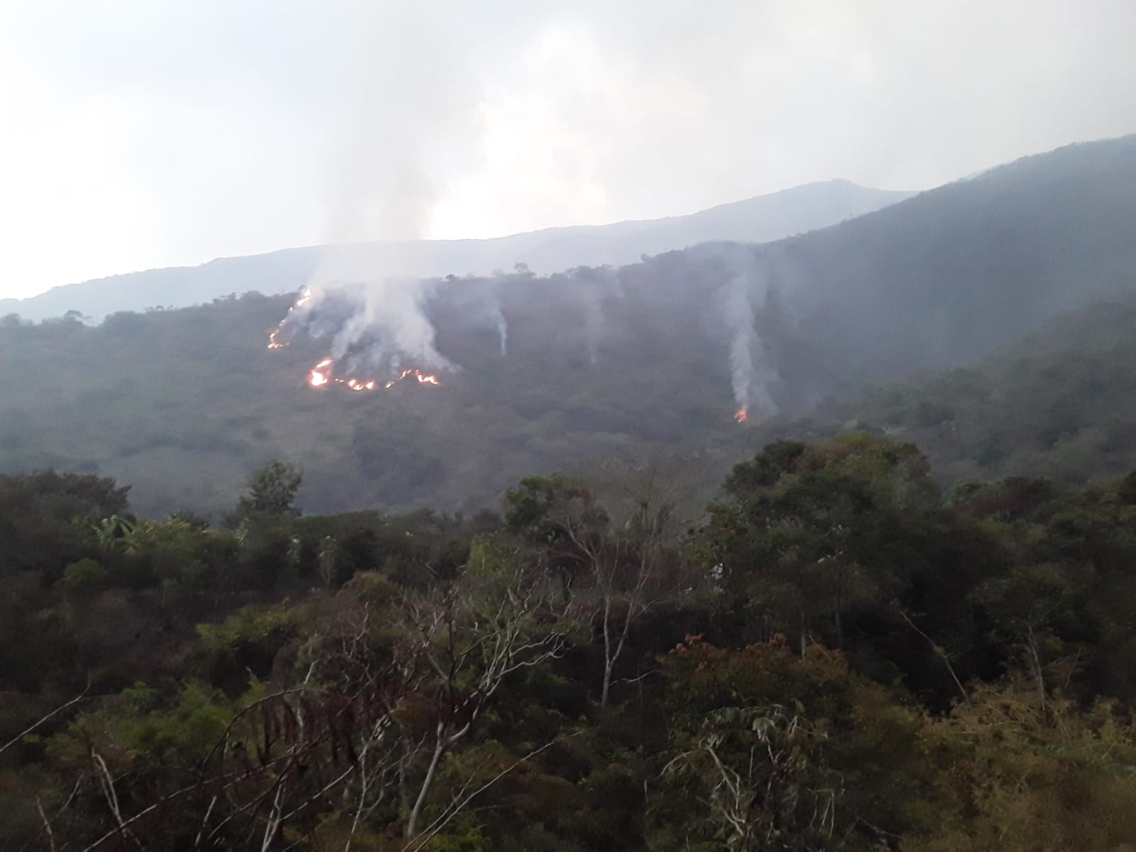 Desde hace tres meses Yanacachi arde frente a la indiferencia de las autoridades