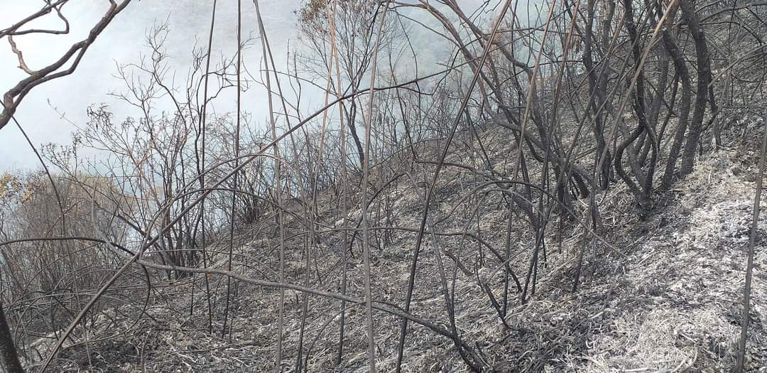 Desde hace tres meses Yanacachi arde frente a la indiferencia de las autoridades