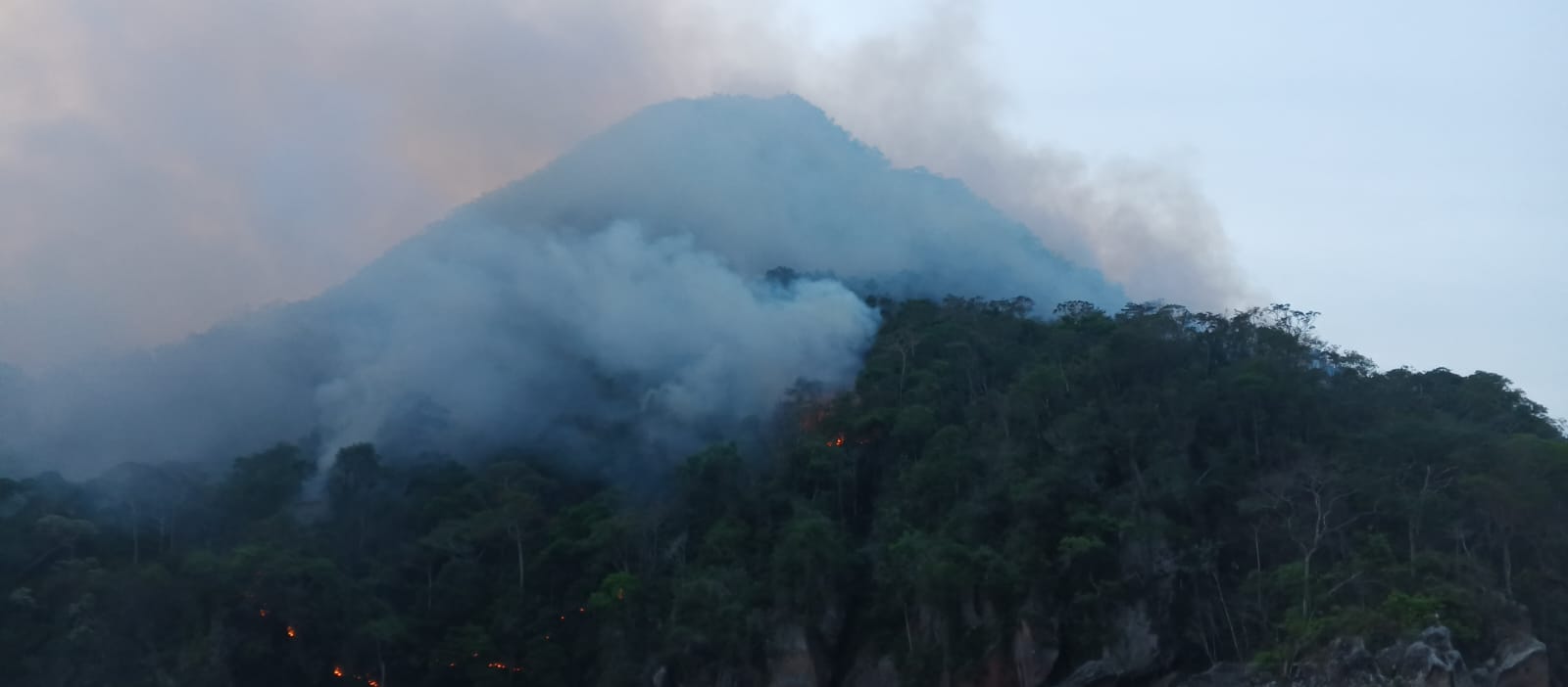 Incendios afectan el Madidi y consumen todo a su paso, comunarios piden ayuda