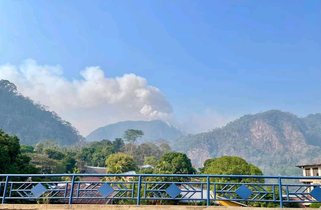 Incendios afectan el Madidi y consumen todo a su paso, comunarios piden ayuda