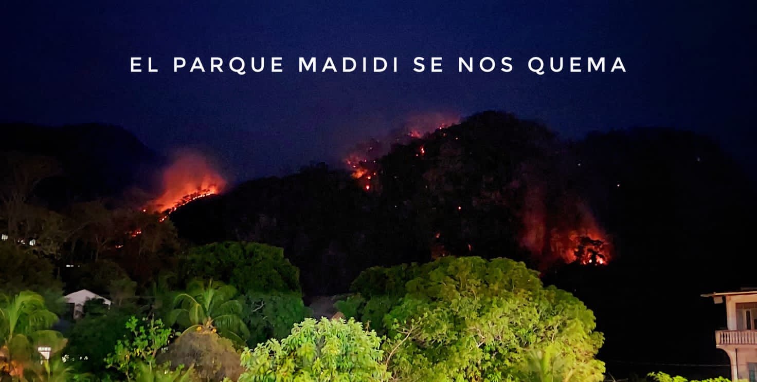 Incendios afectan el Madidi y consumen todo a su paso, comunarios piden ayuda
