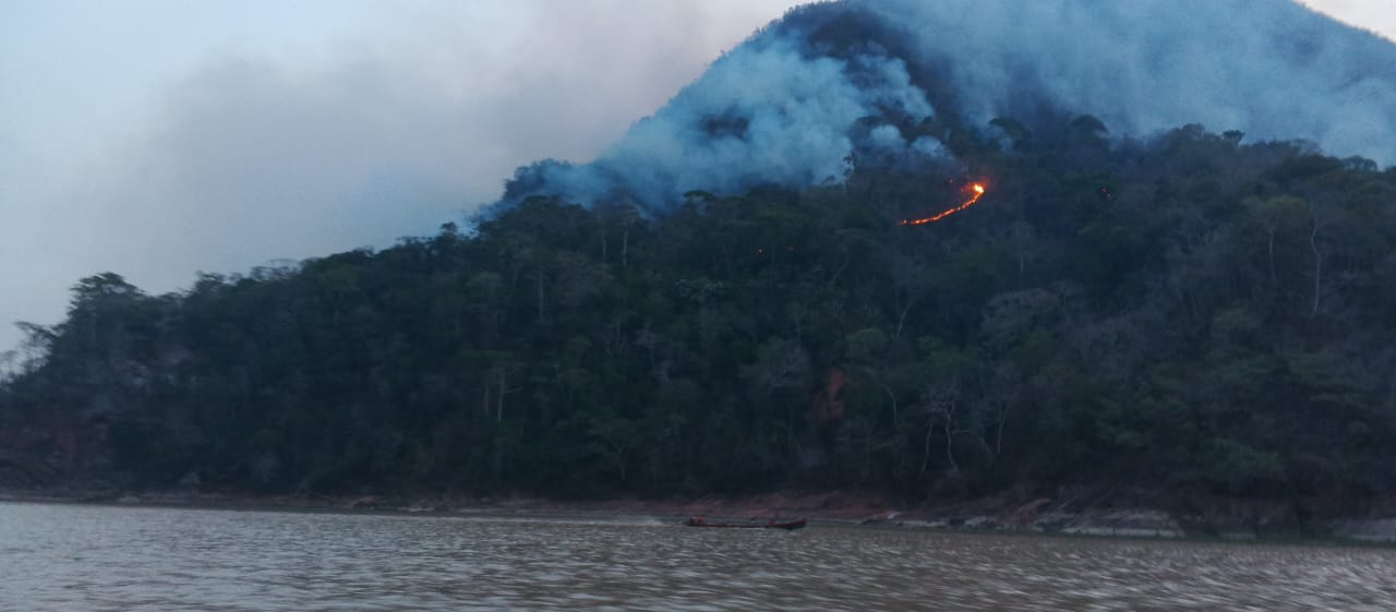 Incendios afectan el Madidi y consumen todo a su paso, comunarios piden ayuda