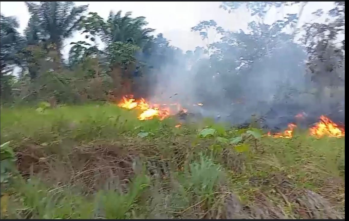  Incendios en San Borja dejan a varias familias sin casa, aumentan pedidos de ayuda a las autoridades 