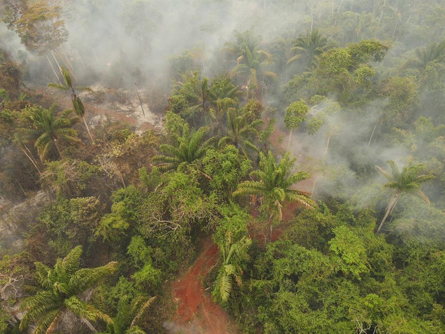 Incendios Quemaron Más De 33 Millones De Ha En El País Afectando Más A Beni Santa Cruz Y La 9945