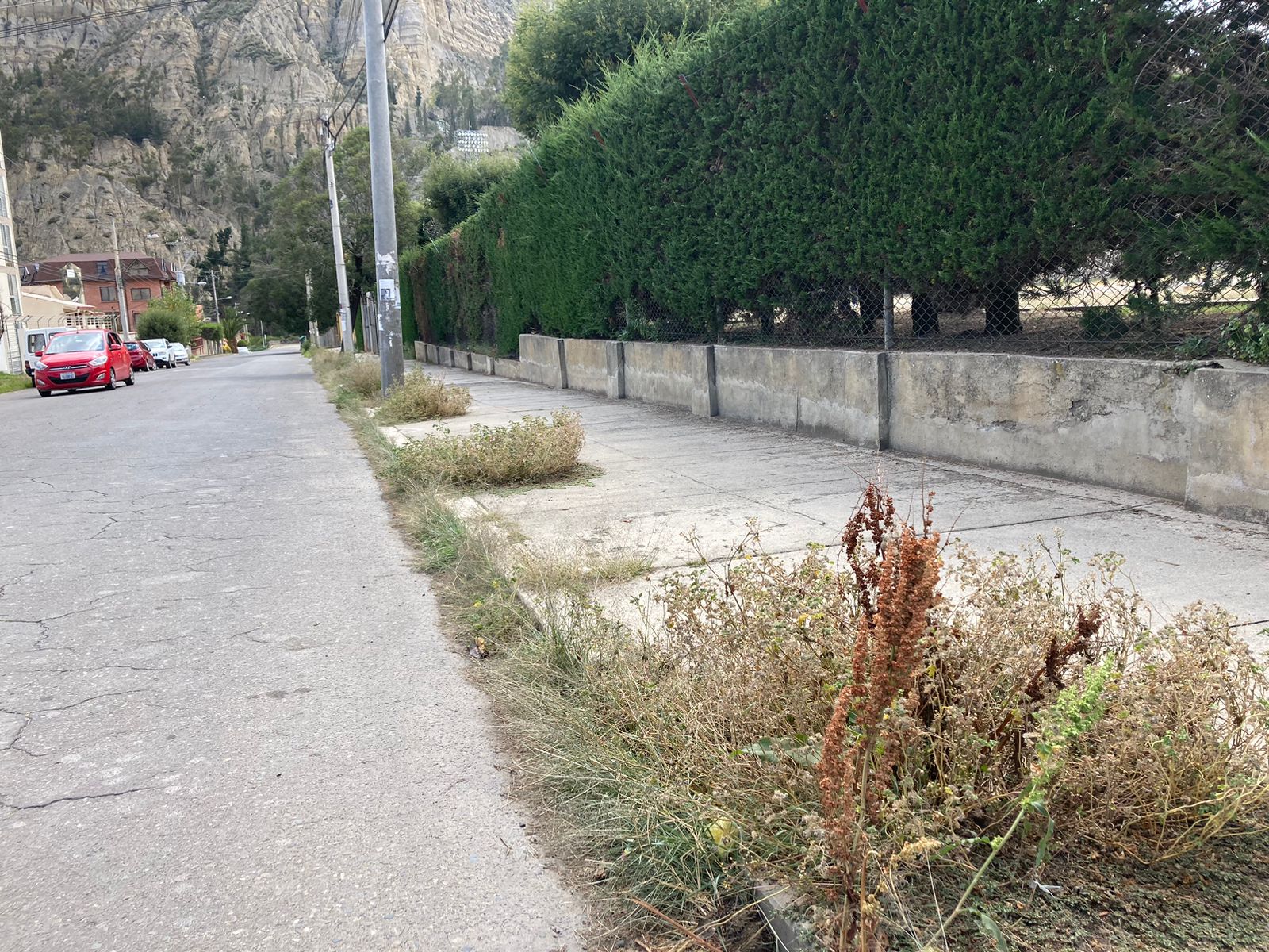 Jardineras, parques y calles de la ciudad siguen descuidados y llenos de maleza