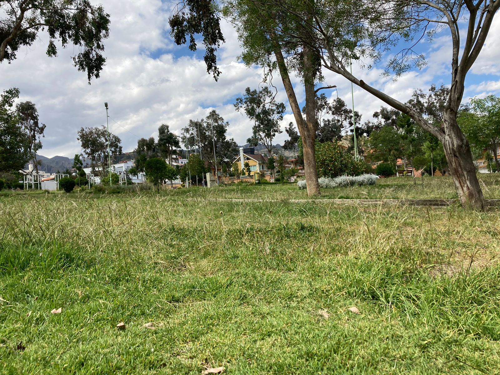 Jardineras, parques y calles de la ciudad siguen descuidados y llenos de maleza