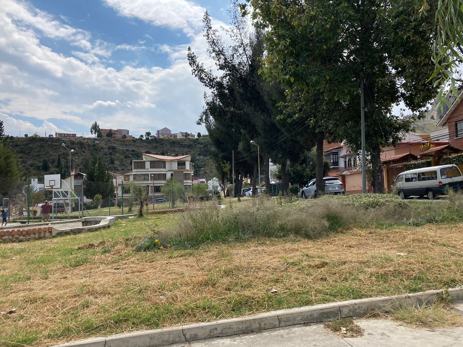 Jardineras, parques y calles de la ciudad siguen descuidados y llenos de maleza