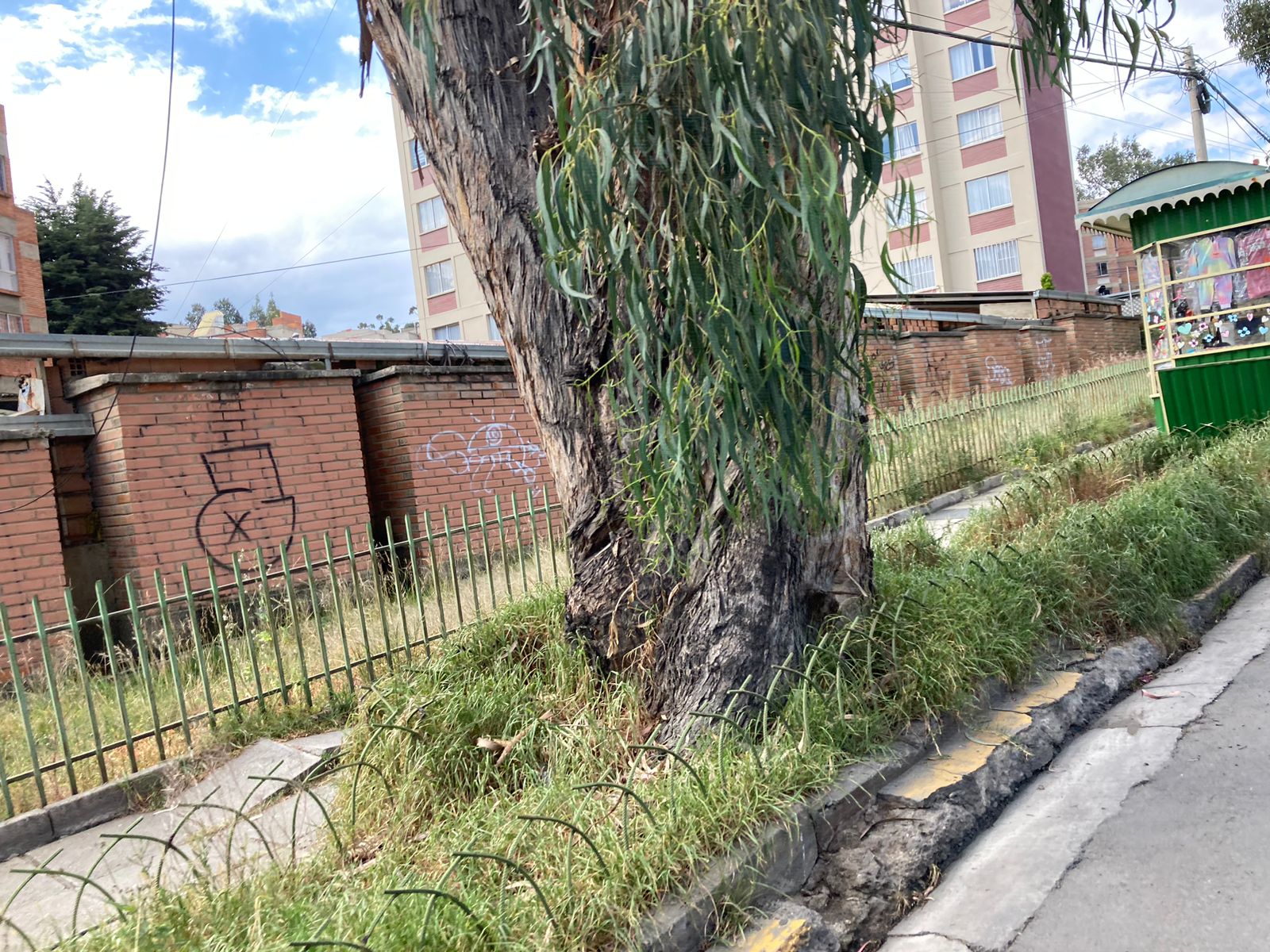 Jardineras, parques y calles de la ciudad siguen descuidados y llenos de maleza