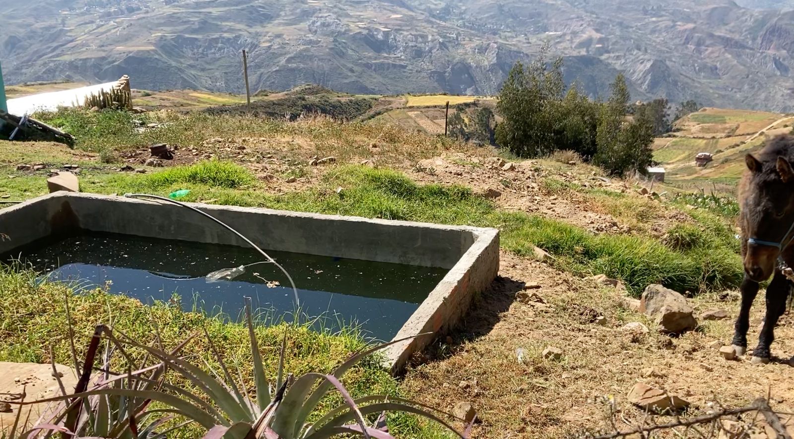 La falta de agua en la comunidad Totorani de Mecapaca es la causa del éxodo de jóvenes