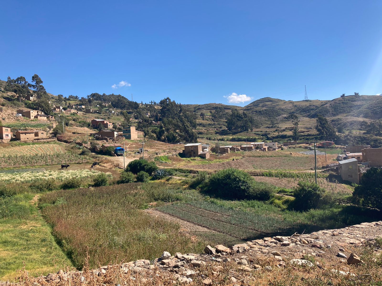 La falta de agua en la comunidad Totorani de Mecapaca es la causa del éxodo de jóvenes