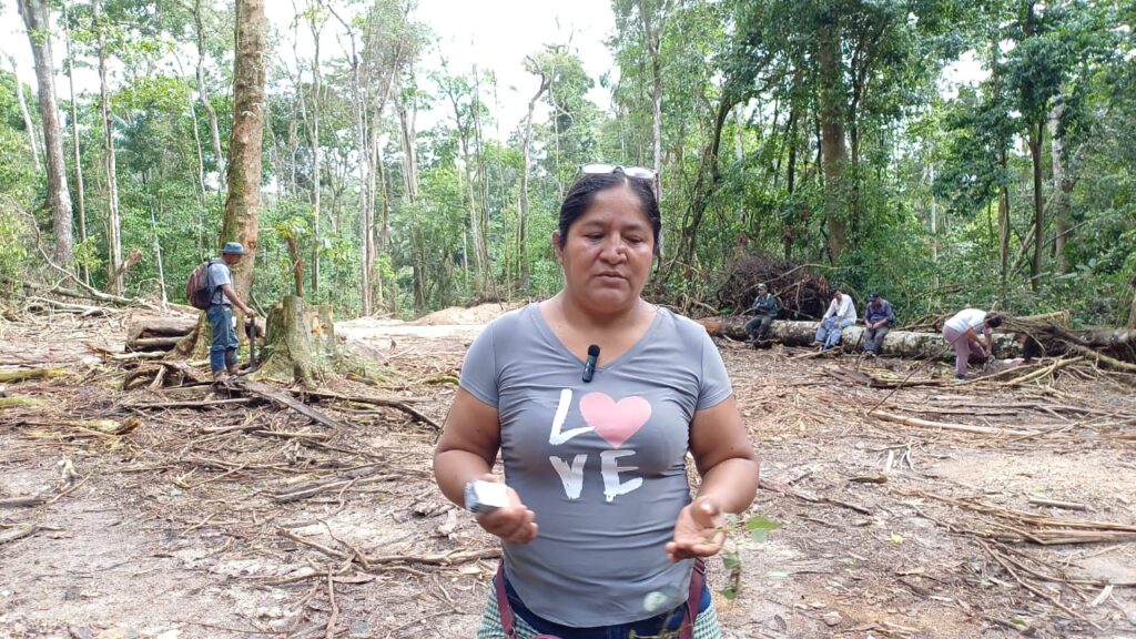 Un grupo de activistas ambientales en Ixiamas enfrenta la destrucción de la Amazonía