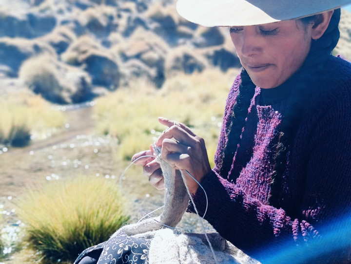 Bolivia reúne saberes para preservar el hábitat de las llamas ante el cambio climático