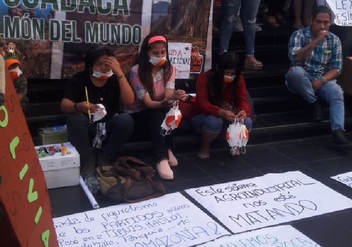 Masivas marchas en cinco ciudades exigen anulación de decreto que autoriza desmonte y quema de bosques