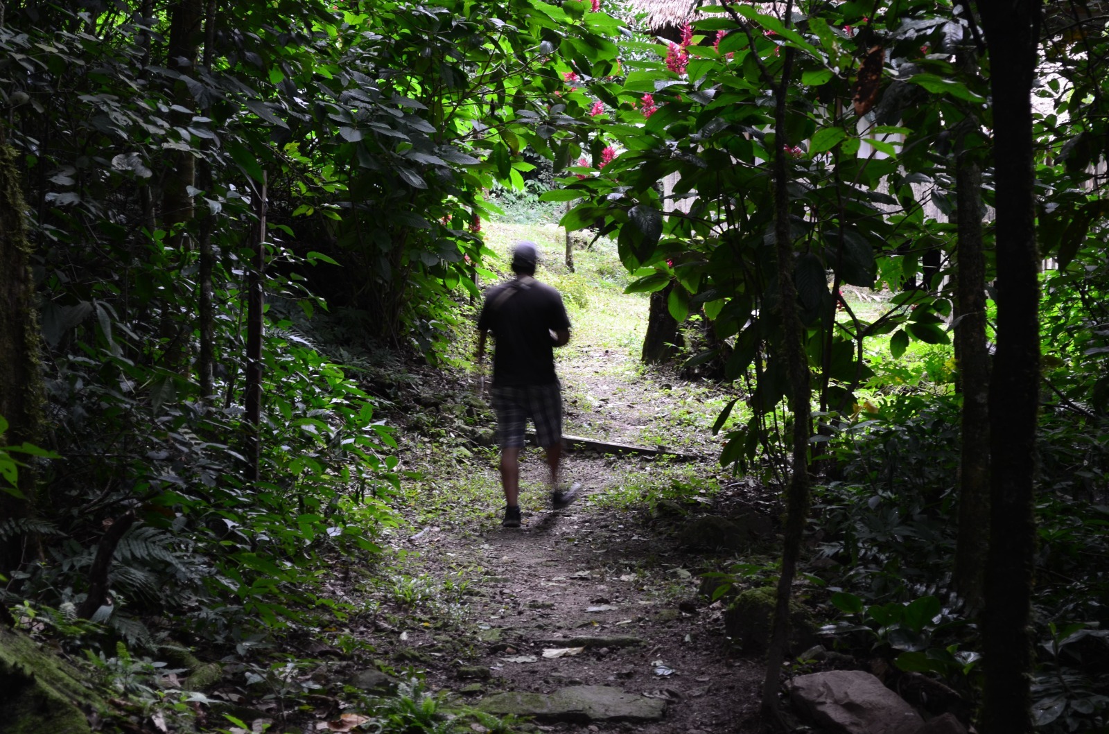 Indígenas uchupiamonas  evaden su extinción y  al extractivismo con el ecoturismo