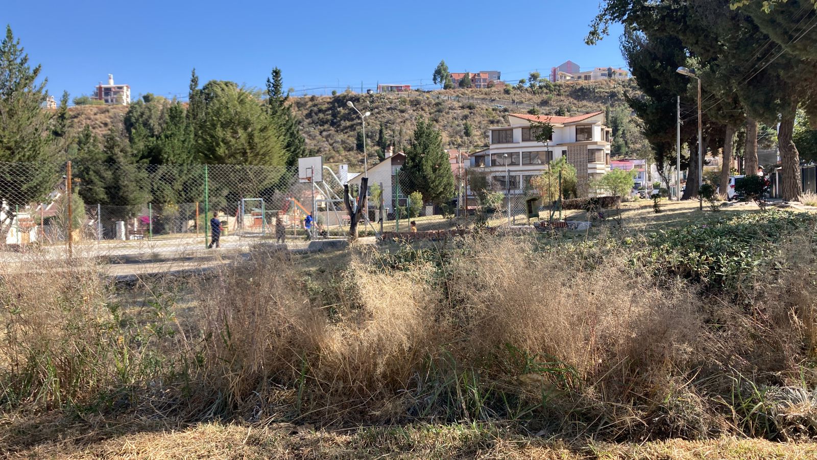 Emaverde retira maleza en Achumani, Los Pinos, plaza Bolivia y avenidas del Libertador, Kantutani y Arce