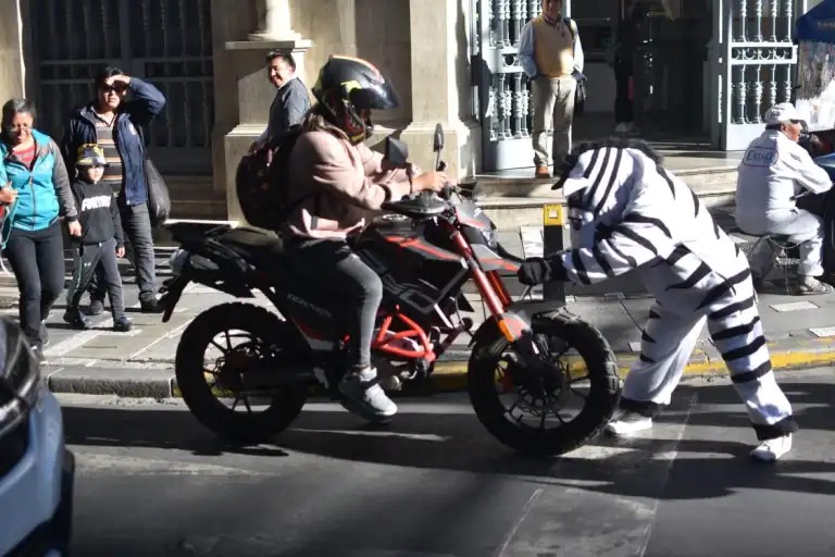 Vuelven las Cebras a las calles: “te emocionan, te alegran la vida”