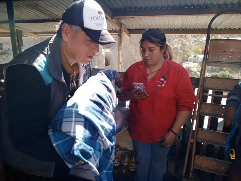 Incendio en Albergue Peluchín dejó dos canes heridos, uno fallecido y daños materiales