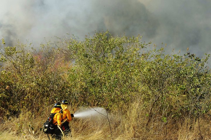  Se incrementan los incendios forestales y el municipio de Roboré es el más afectado