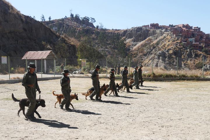 Perros policiales se jubilan con honores tras 6 años de servicio