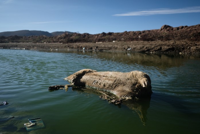 Los ignorados de la bahía de Cohana y una inversión de $us 86 millones aún sin resultados visibles