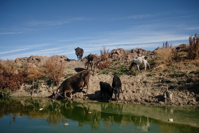 Los ignorados de la bahía de Cohana y una inversión de $us 86 millones aún sin resultados visibles