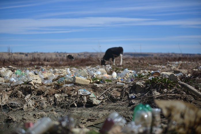 Los ignorados de la bahía de Cohana y una inversión de $us 86 millones aún sin resultados visibles