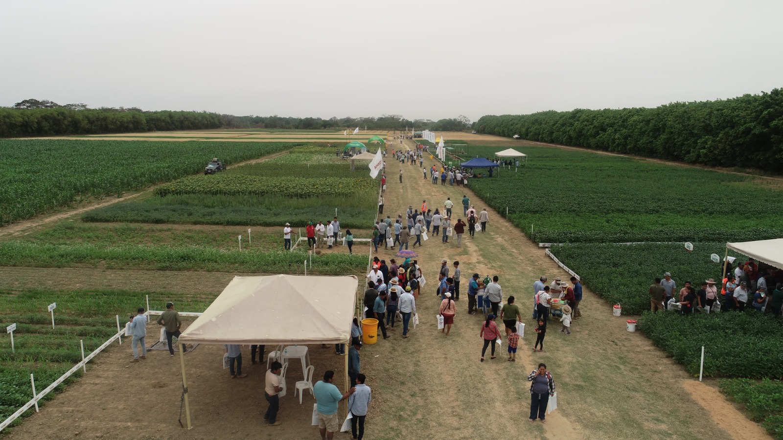 Exposoya del Norte fortalece el aporte de la ZonaIntegrada de Santa Cruz a la producción del país