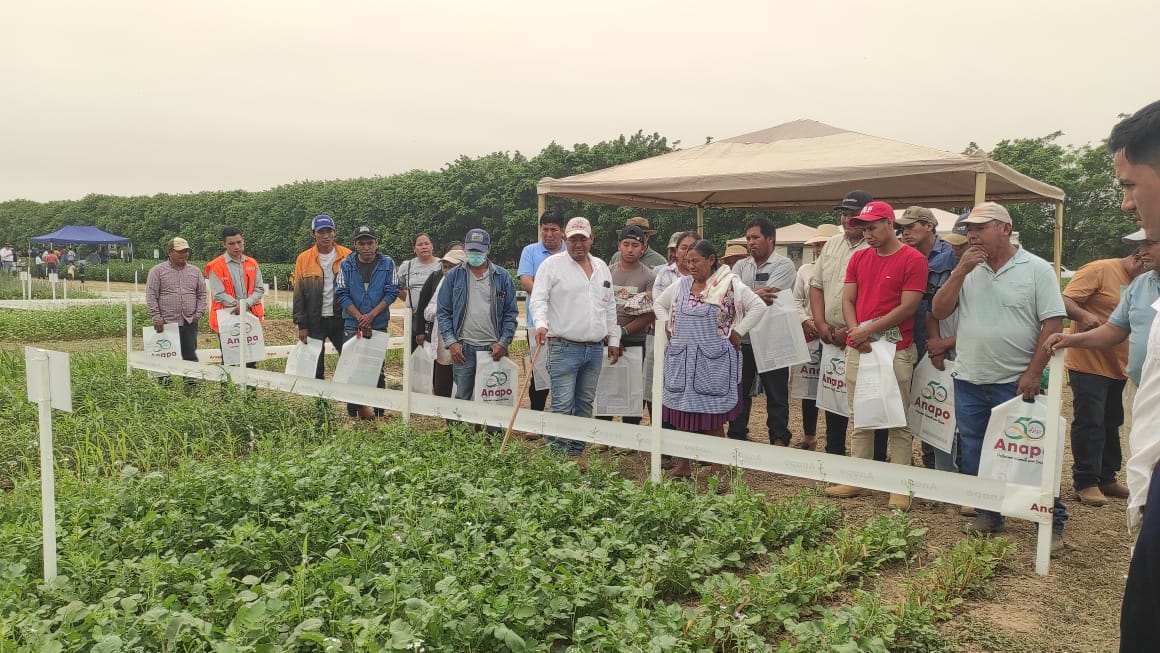 Exposoya del Norte fortalece el aporte de la ZonaIntegrada de Santa Cruz a la producción del país