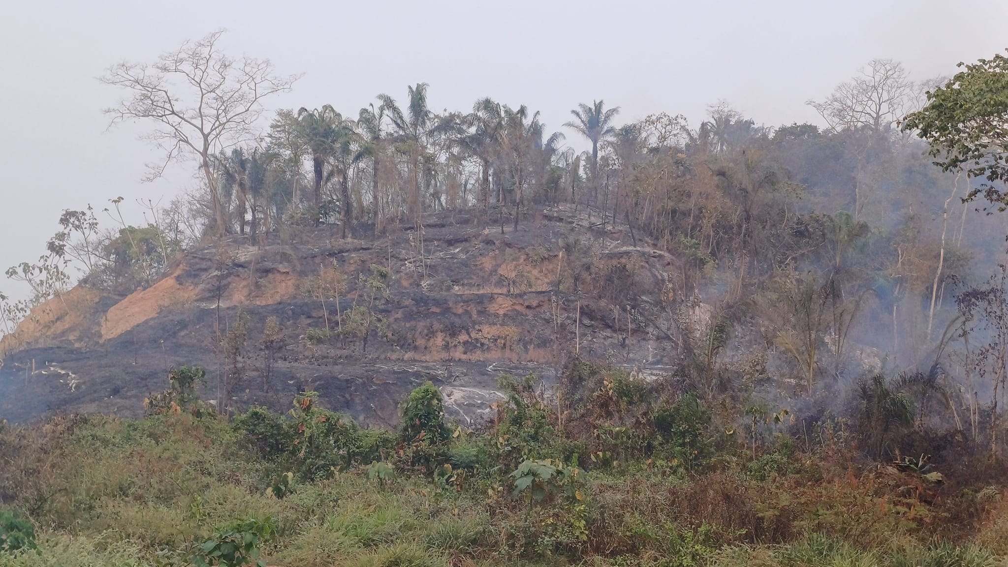 Incendio en Rurrenabaque moviliza a vecinos que acarrean agua en turriles para apagar las llamas