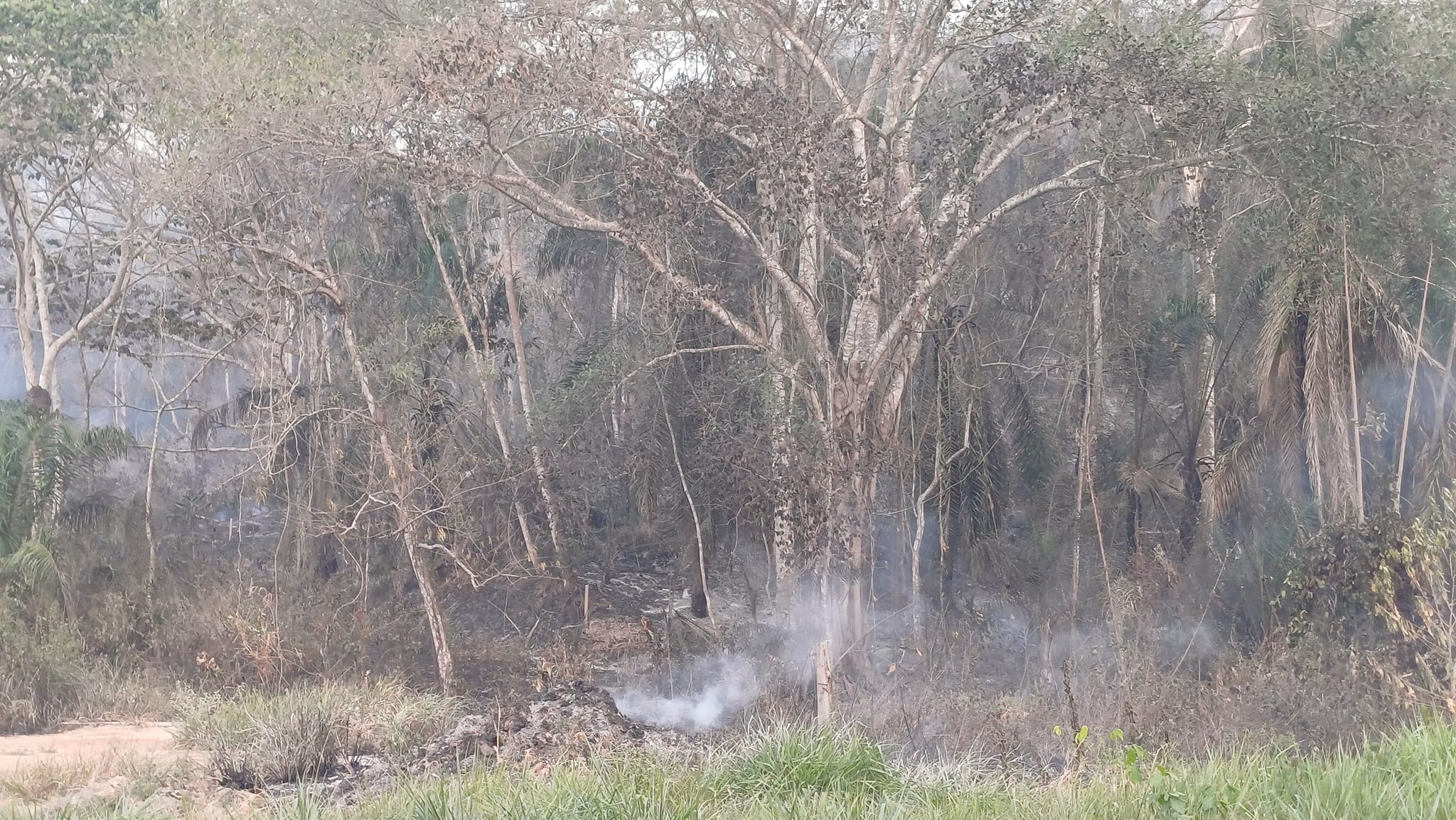 Incendio en Rurrenabaque moviliza a vecinos que acarrean agua en turriles para apagar las llamas