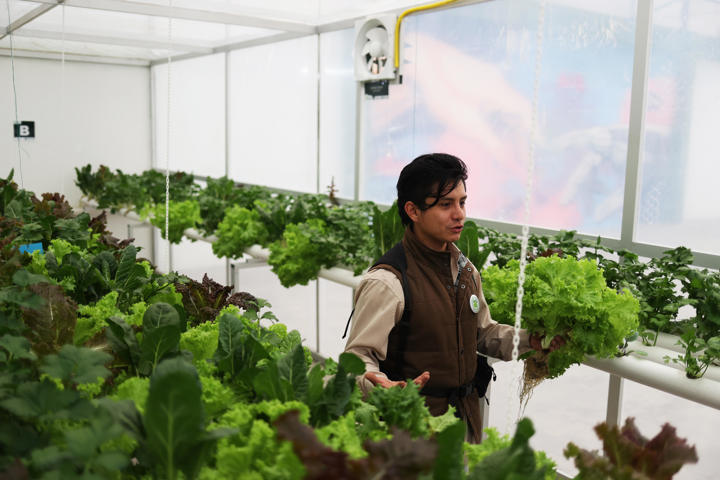 Producción sostenible de alimentos y tecnología en el primer “Huerto Smart” de Bolivia