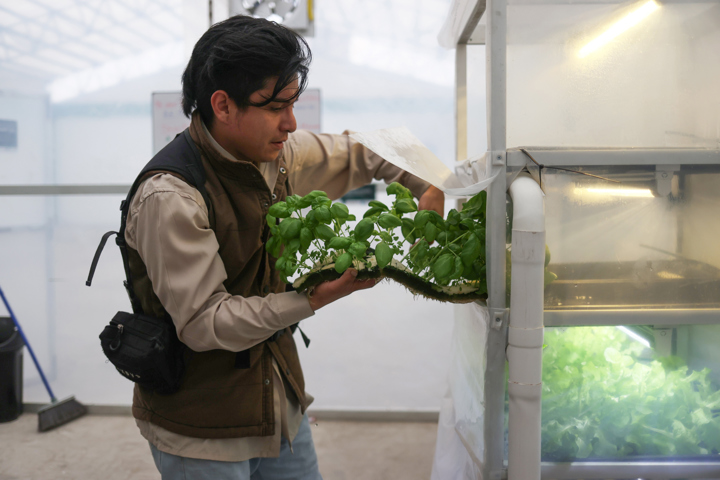 Producción sostenible de alimentos y tecnología en el primer “Huerto Smart” de Bolivia