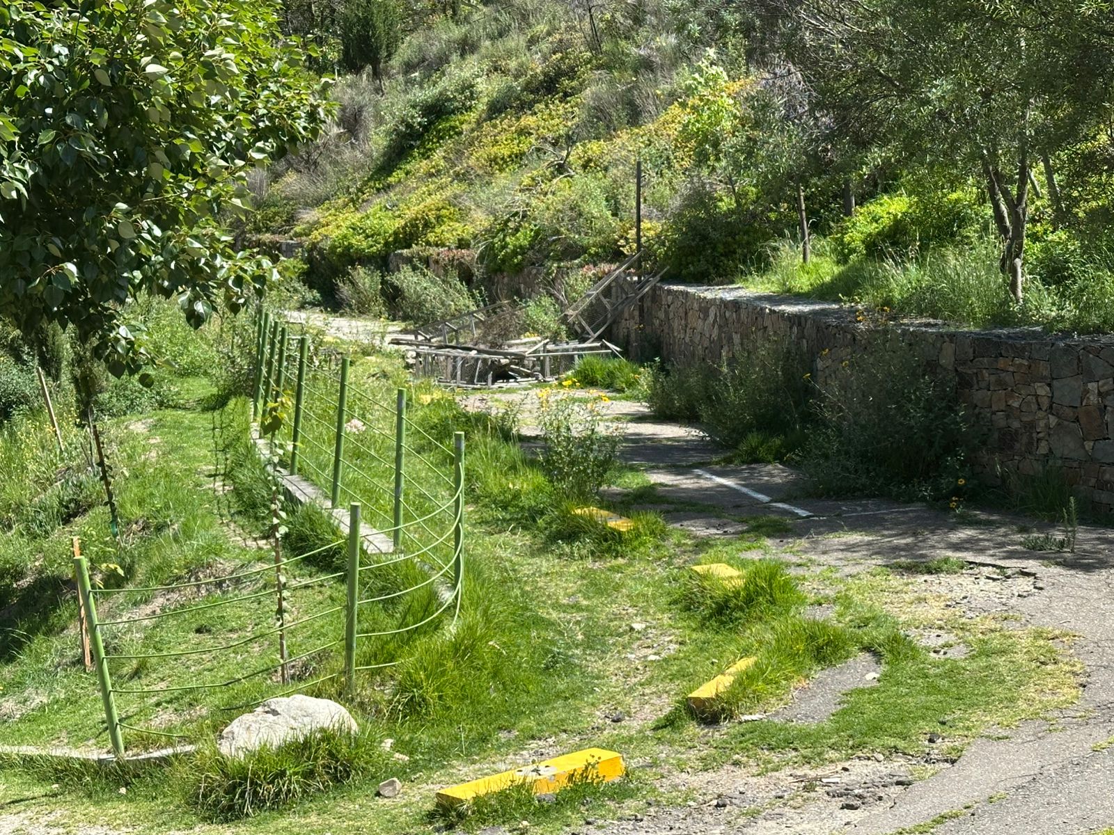 Área deportiva y de esparcimiento del PUC, en estado de abandono