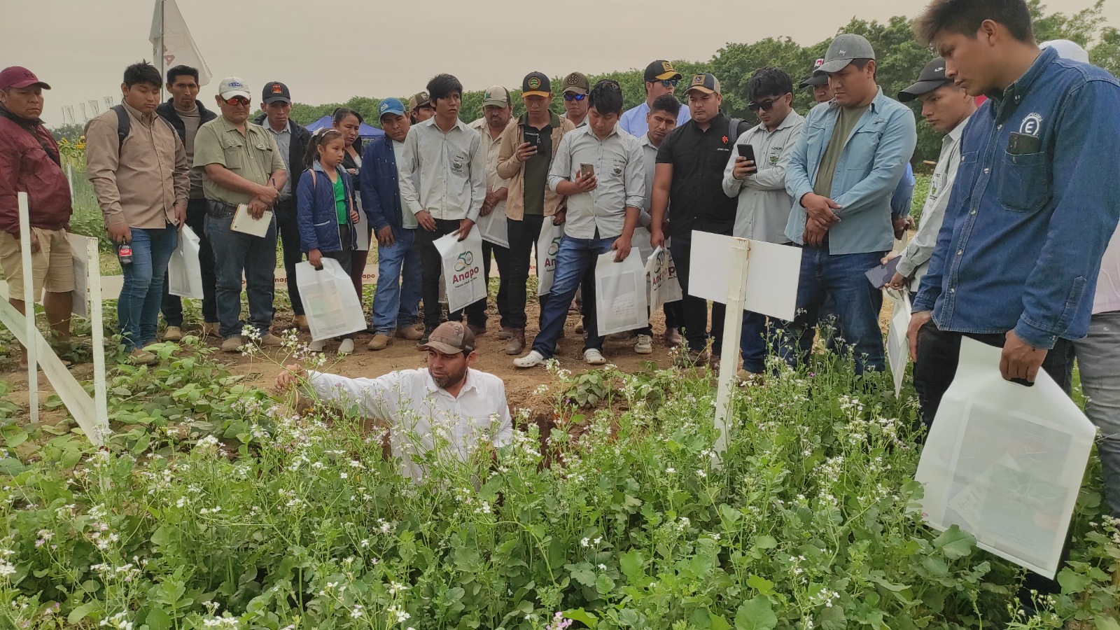 Exposoya del Norte impulsa la innovación para fortalecer la agricultura sostenible