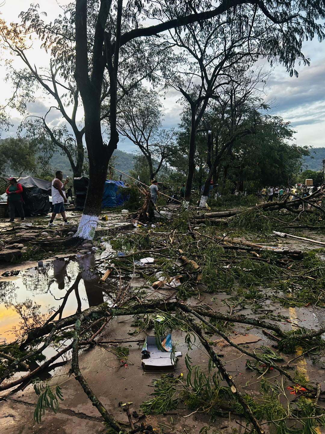 Vientos huracanados y lluvias causan destrozos en Bermejo
