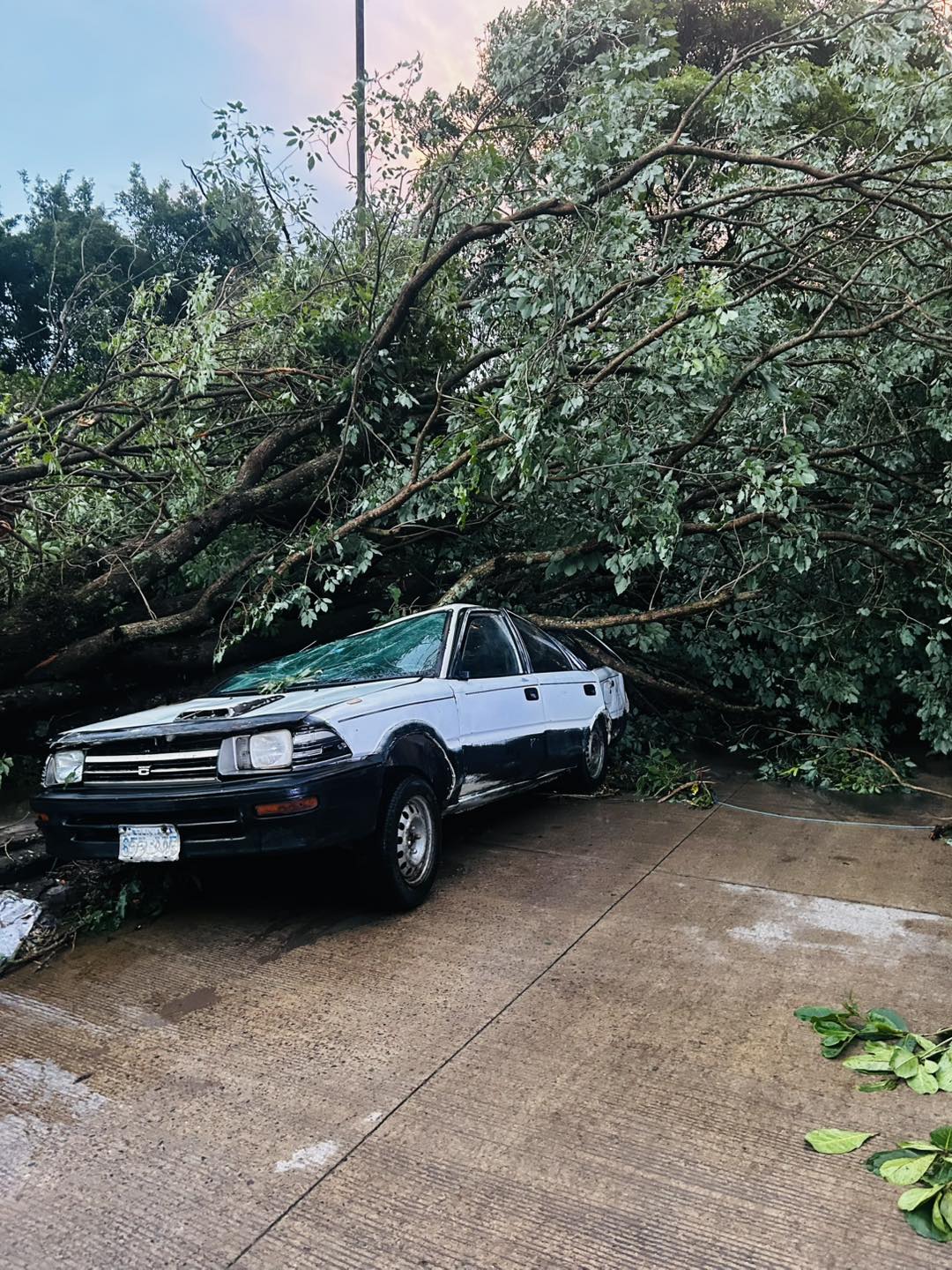 Vientos huracanados y lluvias causan destrozos en Bermejo