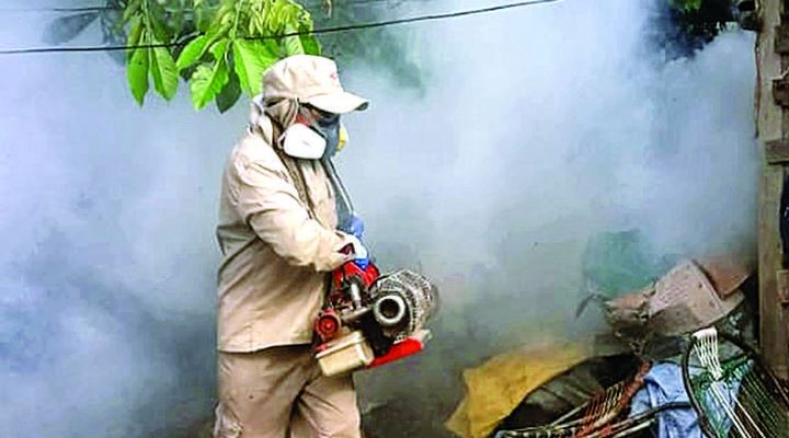 Sube a 4 los fallecidos por dengue en Caranavi y a 260 los casos confirmados