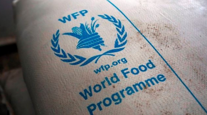 Nobel de la Paz: el Programa Mundial de Alimentos de la ONU obtiene el galardón